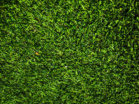 Closeup view of green grass soccer field background. Wallpaper for work and design.の写真素材