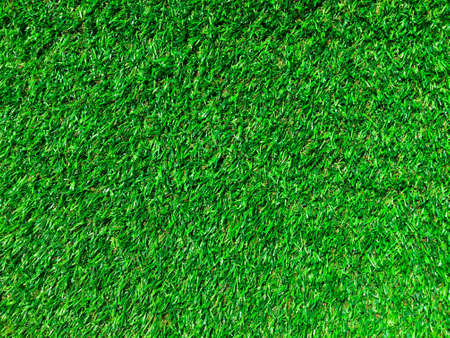 Green grass texture background with copy space for design, Top viewの写真素材
