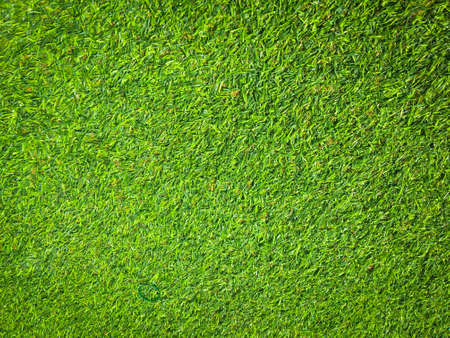 Closeup view of green grass soccer field background. Wallpaper for work and design.の写真素材