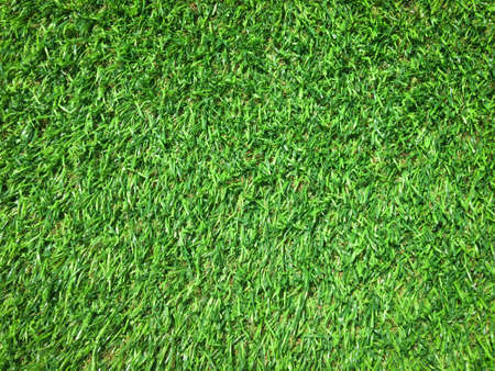 Beautiful green grass pattern from golf course for background. Copy space for work and design, Top viewの写真素材