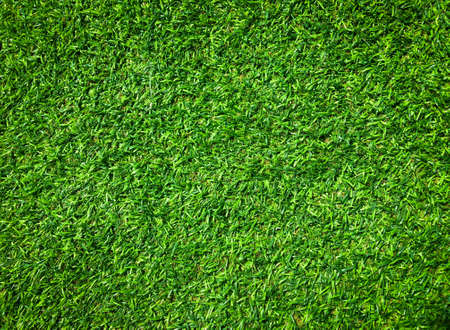 Closeup view of green grass soccer field background. Wallpaper for work and design.の写真素材