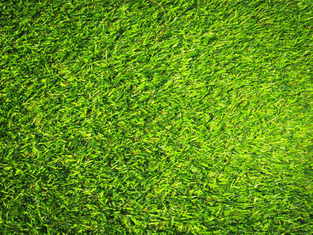 Modern green lawn texture background. Wallpaper for work and design.の写真素材