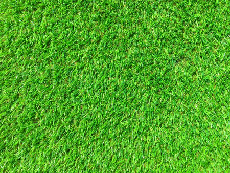 Green grass texture background with copy space for design, Top viewの写真素材