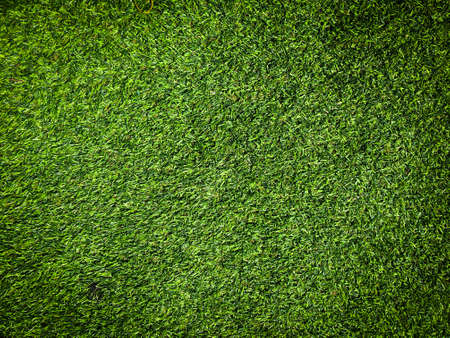 Closeup view of green grass soccer field background. Wallpaper for work and design.の写真素材