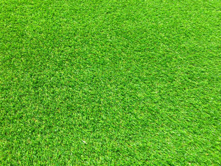 Modern green lawn texture background. Wallpaper for work and design.の写真素材