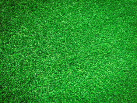 Modern green lawn texture background. Wallpaper for work and design.の写真素材