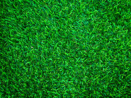 Beautiful green grass pattern from golf course for background. Copy space for work and design, Top viewの写真素材