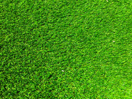Modern green lawn texture background. Wallpaper for work and design.の写真素材