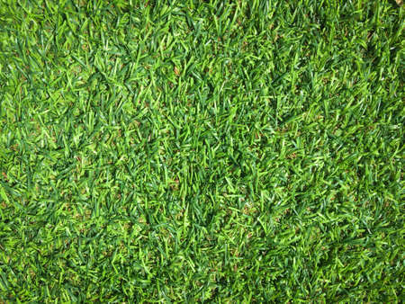 Closeup view of green grass soccer field background. Wallpaper for work and design.の写真素材