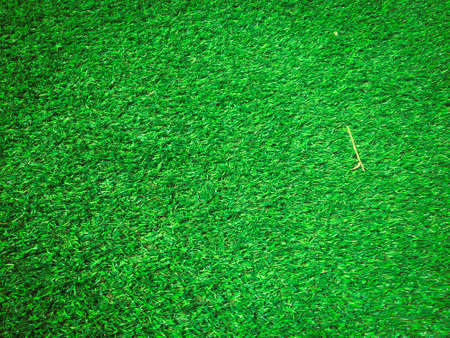 Modern green lawn texture background. Wallpaper for work and design.の写真素材