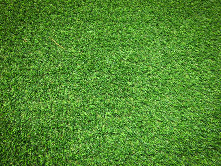 Modern green lawn texture background. Wallpaper for work and design.の写真素材