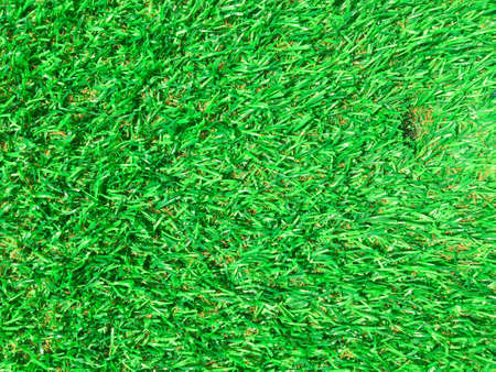 Artificial green grass texture background with copy space for work and design, Top viewの写真素材