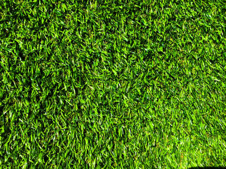 Beautiful green grass pattern from golf course for background. Copy space for work and design, Top viewの写真素材