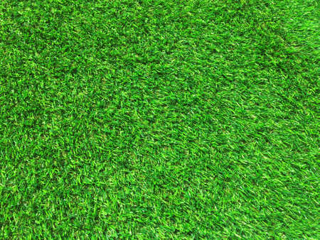 Modern green lawn texture background. Wallpaper for work and design.の写真素材