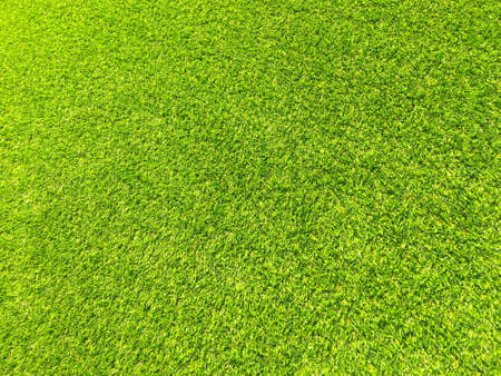 Modern green lawn texture background. Wallpaper for work and design.の写真素材