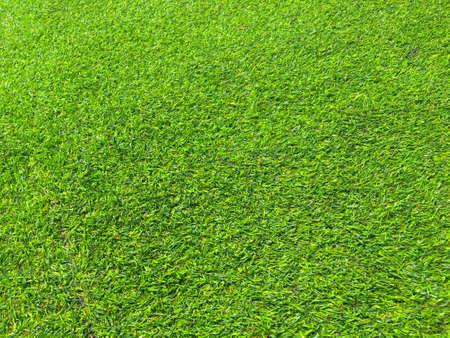 Closeup view of green grass soccer field background. Wallpaper for work and design.の写真素材