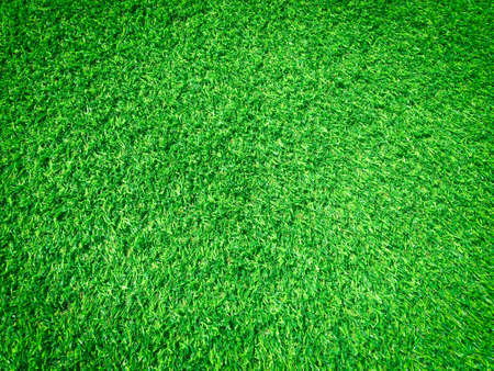 Beautiful green grass pattern from golf course for background. Copy space for work and design, Top viewの写真素材