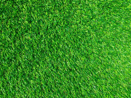 Green grass texture background with copy space for design, Top viewの写真素材