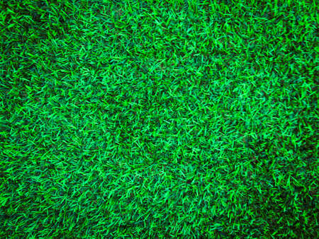 Beautiful green grass pattern from golf course for background. Copy space for work and design, Top viewの写真素材