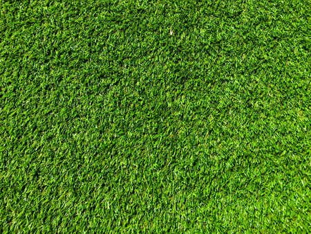 Green grass texture background with copy space for design, Top viewの写真素材