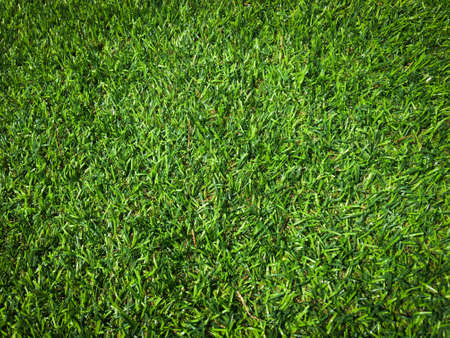Closeup view of green grass soccer field background. Wallpaper for work and design.の写真素材