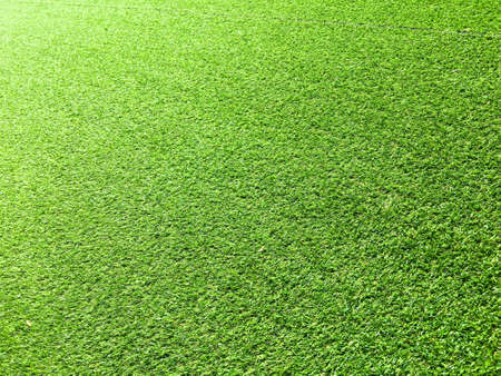Beautiful green grass pattern from golf course for background. Copy space for work and design, Top viewの写真素材