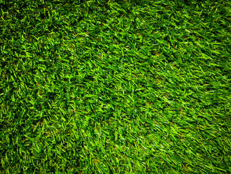 Artificial green grass texture background with copy space for work and design, Top viewの写真素材