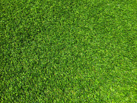 Green grass texture background with copy space for design, Top viewの写真素材