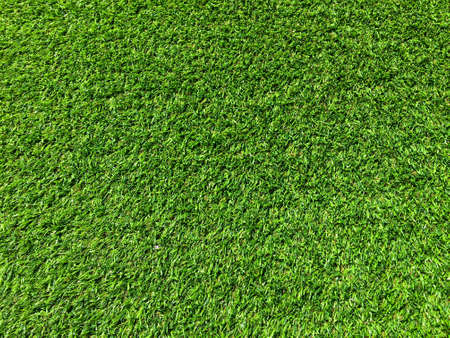 Green grass texture background with copy space for design, Top viewの写真素材