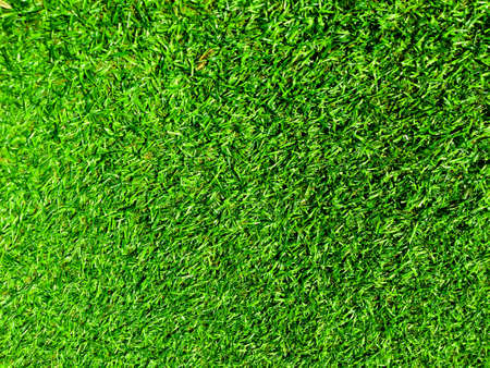 Closeup view of green grass soccer field background. Wallpaper for work and design.の写真素材