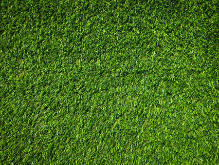 Green grass texture background with copy space for design, Top viewの写真素材