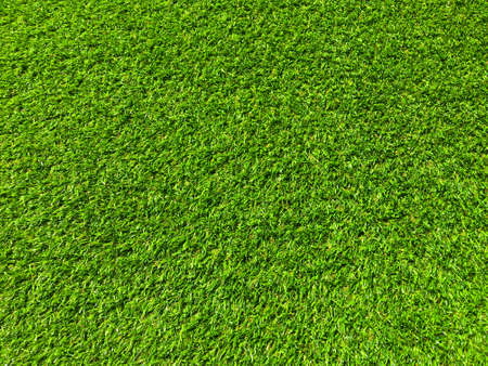 Green grass texture background with copy space for design, Top viewの写真素材