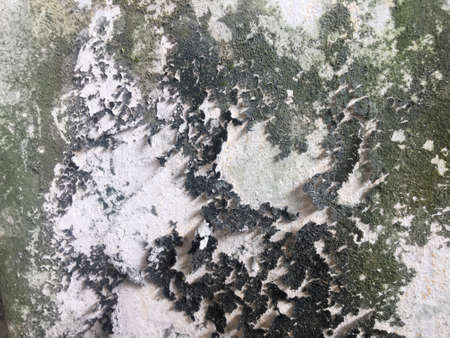 Concrete texture wall space background for designの写真素材