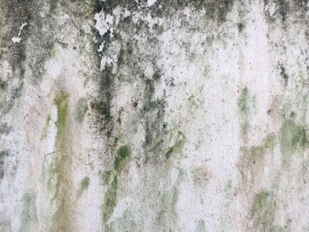 Concrete texture wall space background for designの写真素材