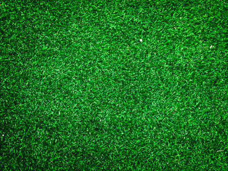 Beautiful green grass pattern from golf course for background. Copy space for work and design, Top viewの写真素材