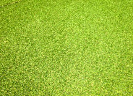 Beautiful green grass pattern from golf course for background. Copy space for work and design, Top viewの写真素材