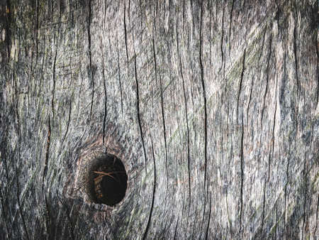 Wood texture wall space background for designの写真素材