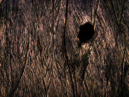 Wooden texture use as natural backgroundの写真素材