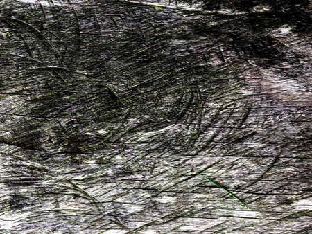 Wooden texture use as natural background