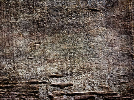 Natural pattern wood background for design