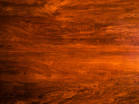 Organic wood texture surface as background with copy space for designの写真素材