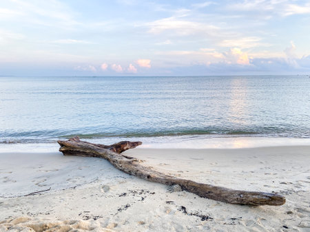 The horizon stretches endlessly, framing a paradise bay where waves crash against the shoreline, creating a dynamic and captivating seaside scenery.の写真素材
