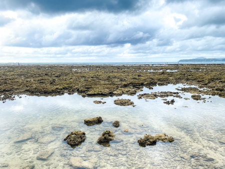 The surface of the sea is a vibrant canvas of abstract patterns, as waves break against the rocky shore, forming a breathtaking wallpaper of nature's artistry.の写真素材