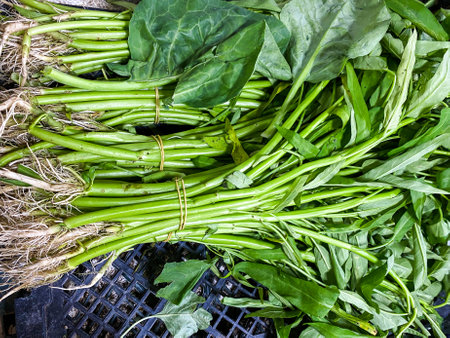 Pile of  Water Spinach  background. Selling at Fresh Market.の写真素材