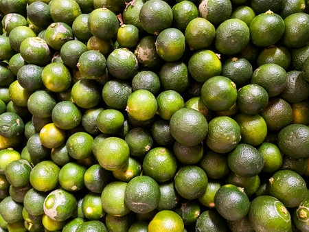 Top view of fresh green lemons as a background.の写真素材