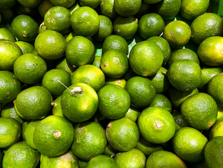 Top view of fresh green lemons as a background.の写真素材