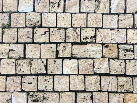 Abstract paint pattern on a retro and beautiful concrete surface.の写真素材