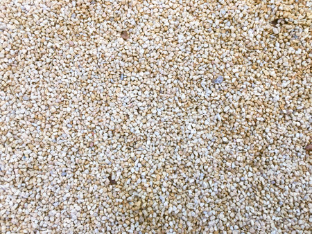 Top view of a sandy beach texture background  with copy space for designの写真素材