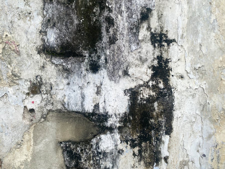 Closeup of an old and weathered concrete wall.の写真素材