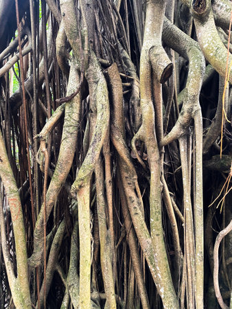 Decorative wooden wall panel with intricate patterns, suitable for adding flair to any space.の写真素材